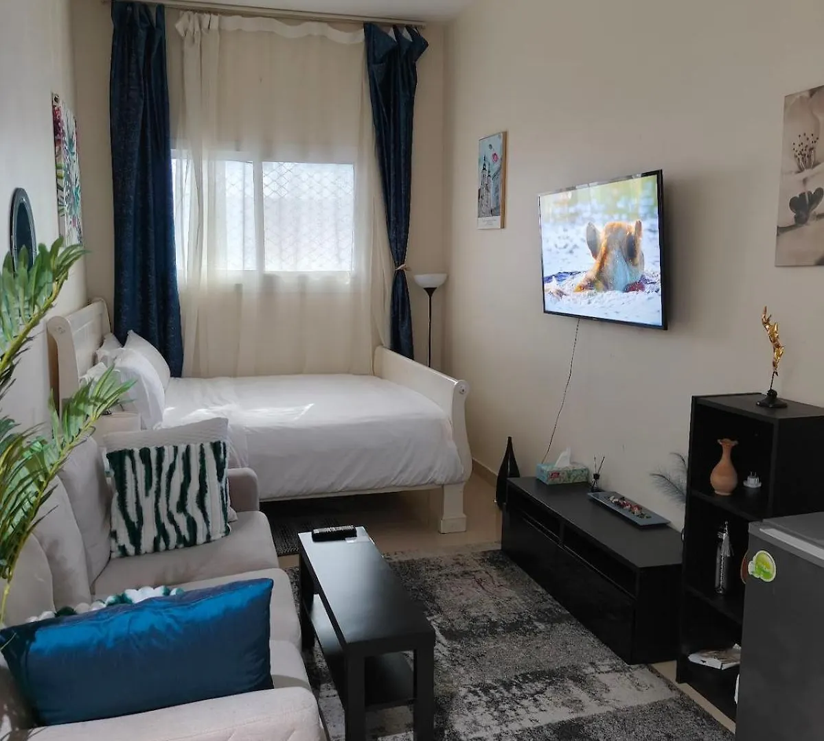 Rare Find Dubai Apartment United Arab Emirates